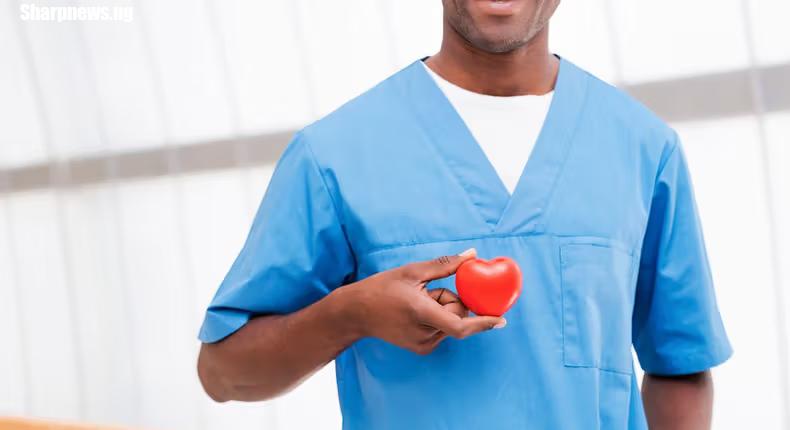 Screenshot 2024-10-31 at 09-08-01 10 factors associated with unhealthy heart function according to expert Pulse Nigeria