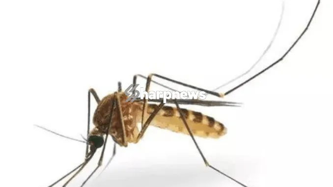 Screenshot-2025-01-17-at-22-13-48-4-Things-Mosquitoes-Dont-Like.-Which-Will-Make-Them-Run-From-Bitting-You-operanewsapp